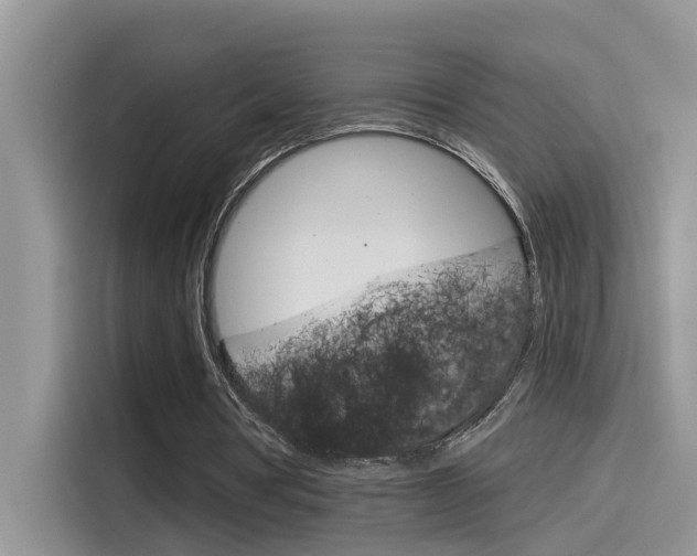 X0000115850386200911131131