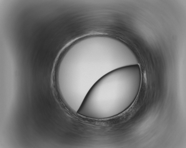 X0000115850388200911131131