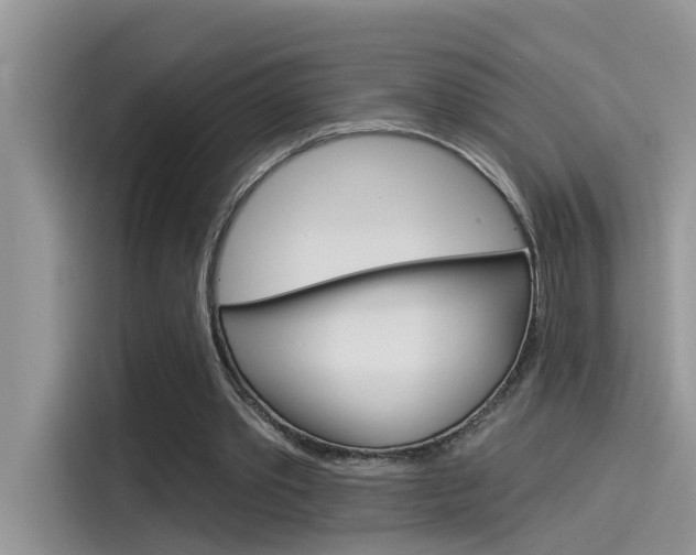 X0000115850389200911131131