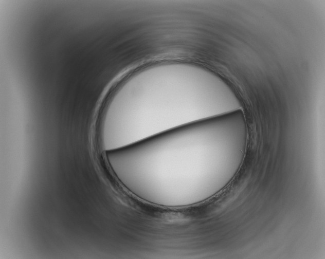 X0000115850392200911131131