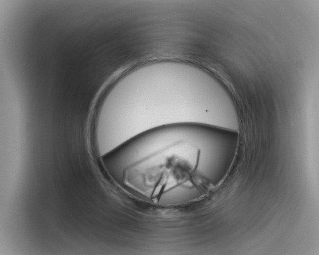 X0000115850395200911131131