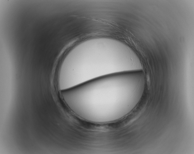 X0000115850396200911131131