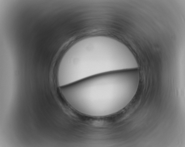 X0000115850400200911131130