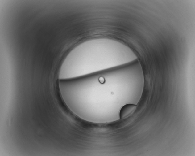 X0000115850404200911131130