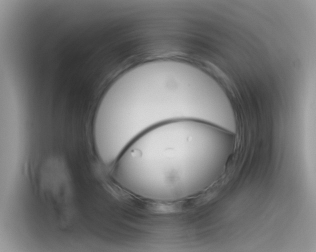 X0000115850405200911131130