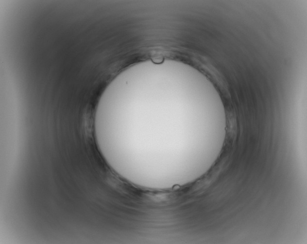 X0000115850419200911131130