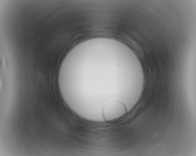 X0000115850421200911131130