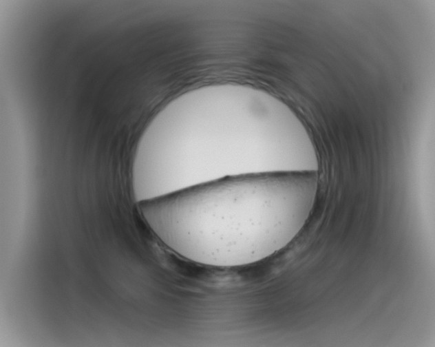 X0000115850424200911131130