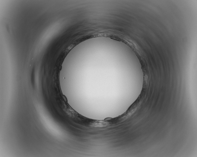 X0000115850429200911131130