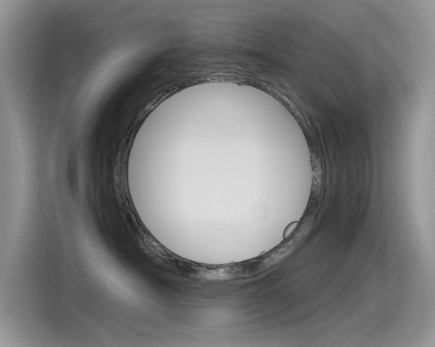 X0000115850430200911131130