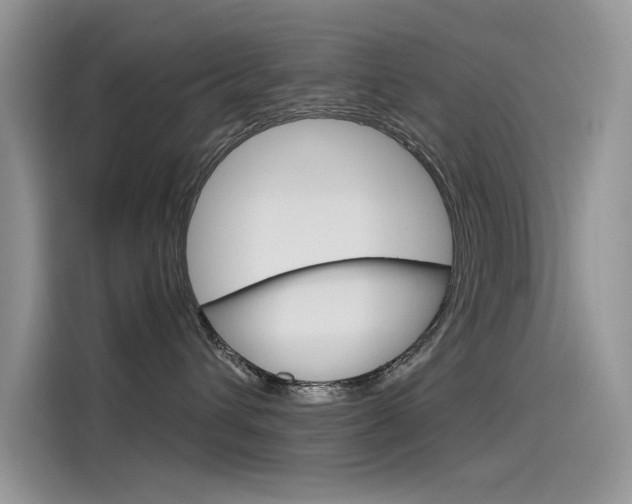 X0000115850432200911131130