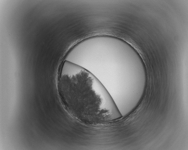 X0000115850434200911131129