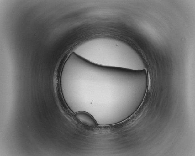 X0000115850435200911131129