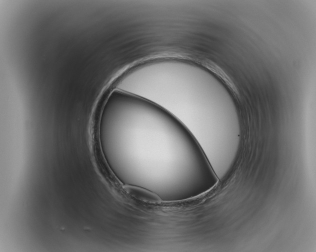 X0000115850436200911131129