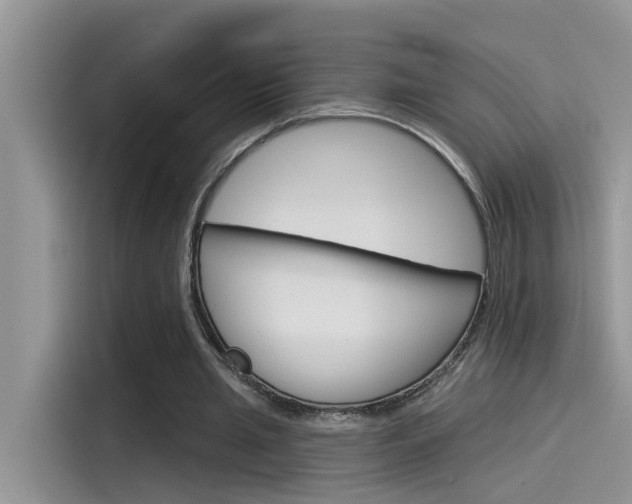 X0000115850437200911131129