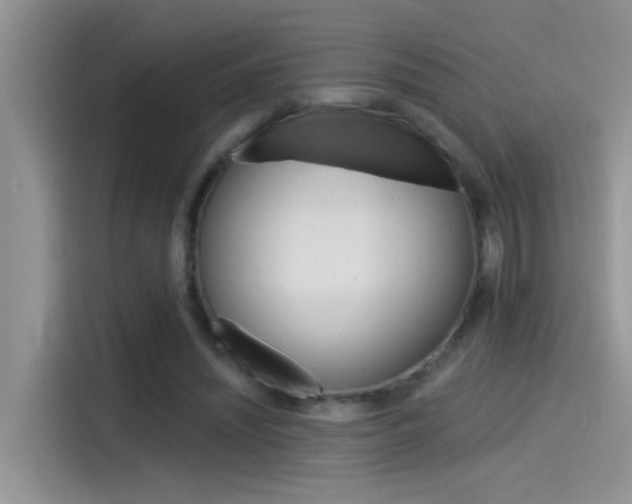X0000115850444200911131130