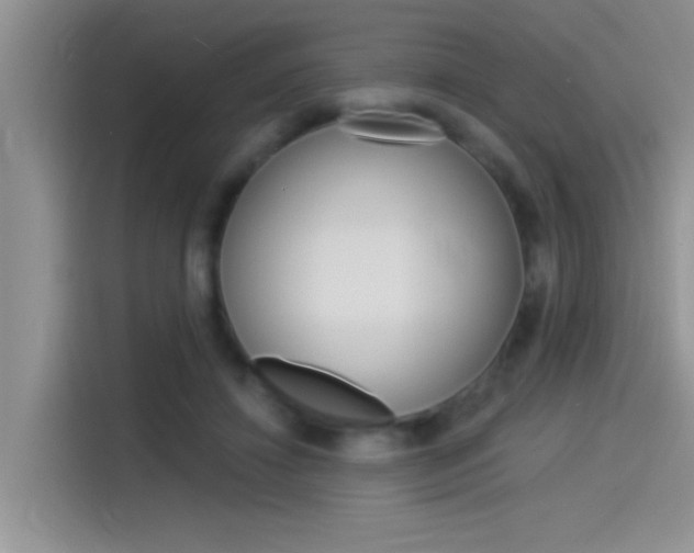 X0000115850452200911131130