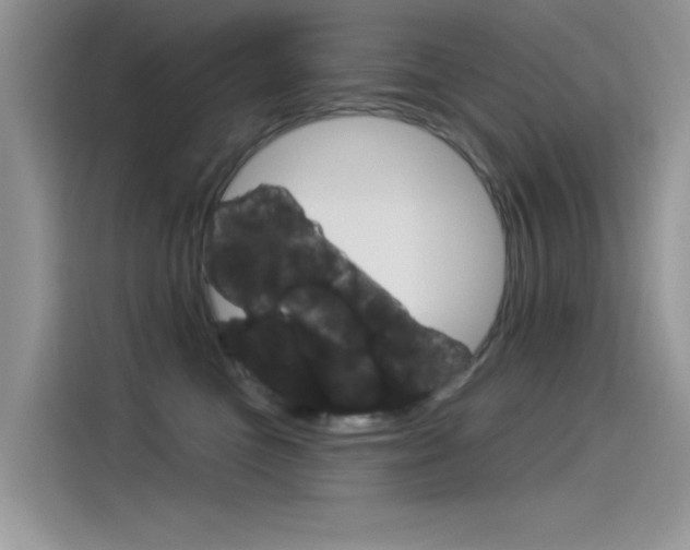 X0000115850473200911131130