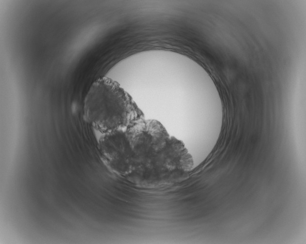 X0000115850477200911131130