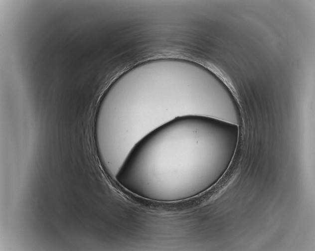 X0000115850481200911131129
