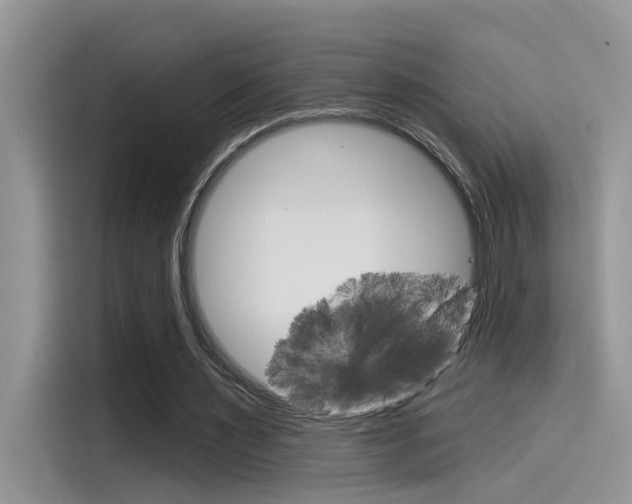X0000115850483200911131129