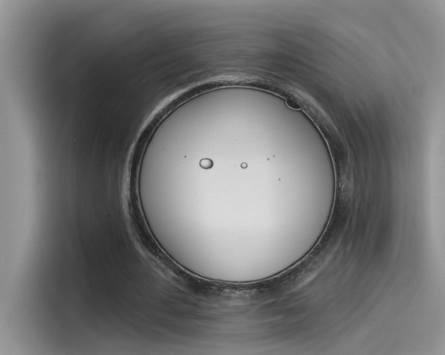 X0000115850484200911131129