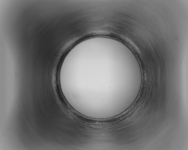 X0000115850487200911131129
