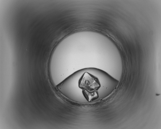 X0000115850489200911131129