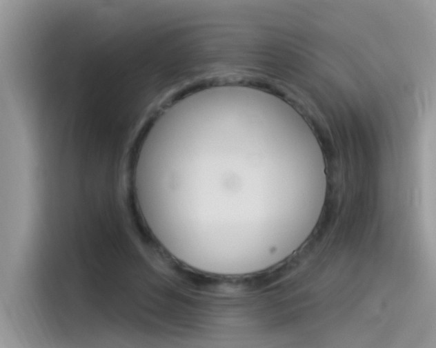 X0000115850496200911131129