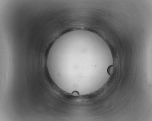 X0000115850504200911131129