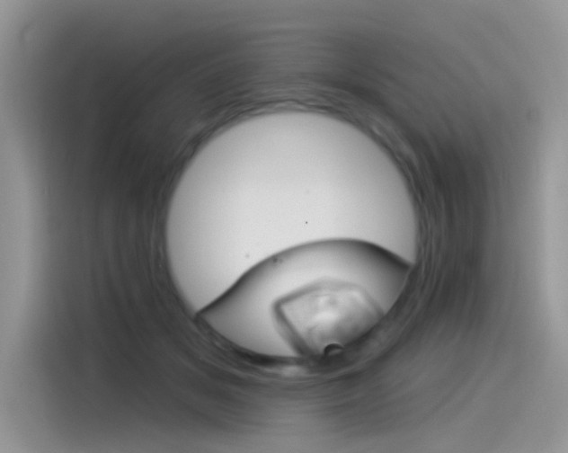 X0000115850509200911131129