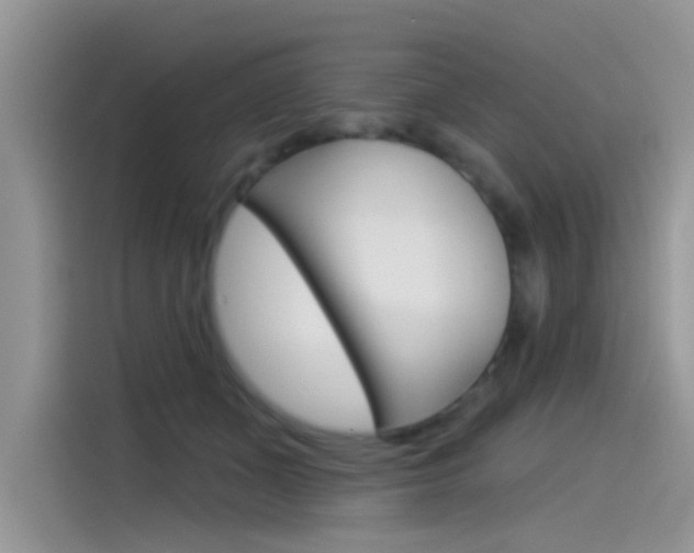 X0000115850511200911131129