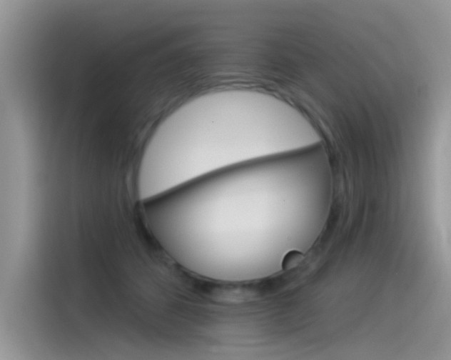 X0000115850512200911131129