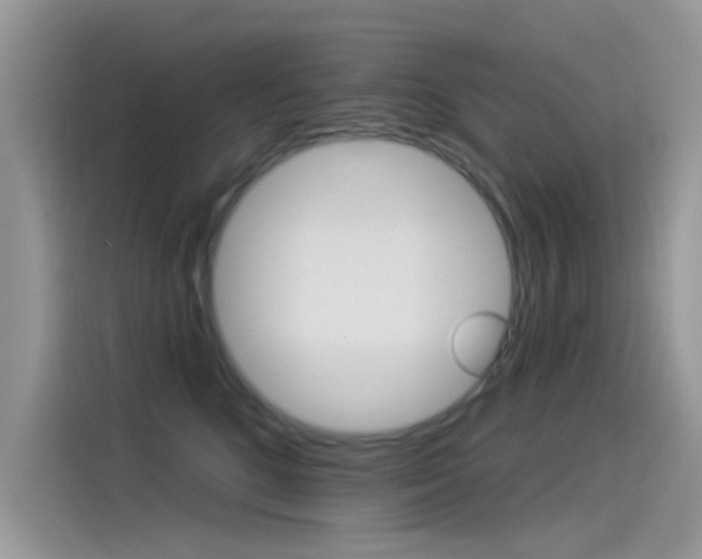 X0000115850520200911131129