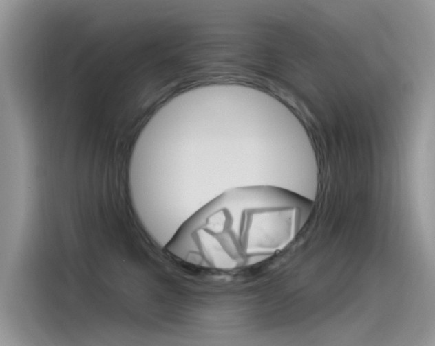 X0000115850521200911131129