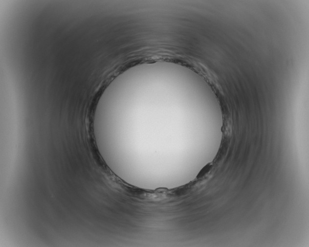X0000115850524200911131129