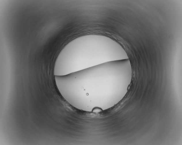 X0000115850525200911131129