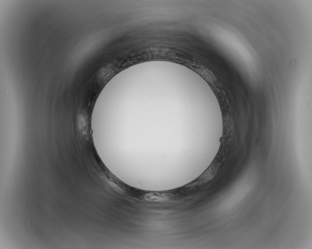 X0000115850526200911131129