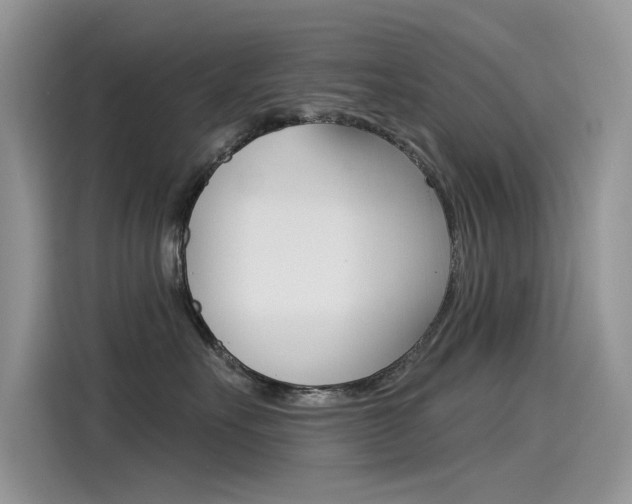 X0000115850527200911131129