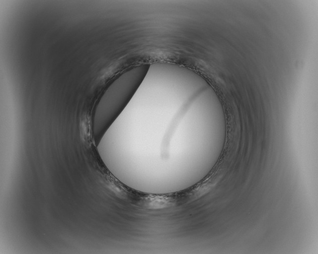 X0000115850528200911131129