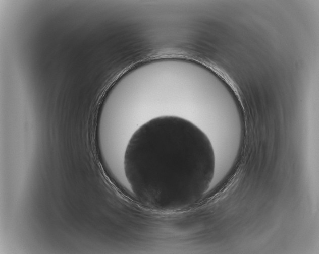 X0000115850529200911131128