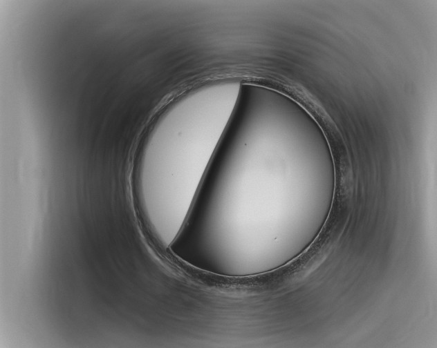X0000115850530200911131128