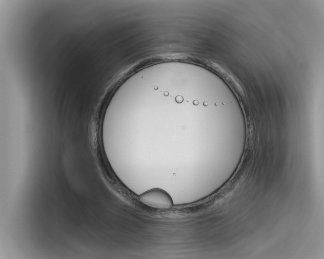 X0000115850533200911131128