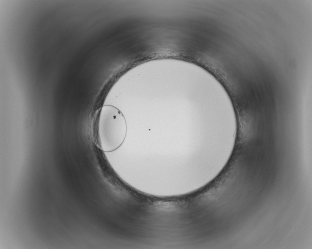 X0000115850534200911131128