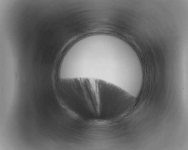 X0000115850539200911131128