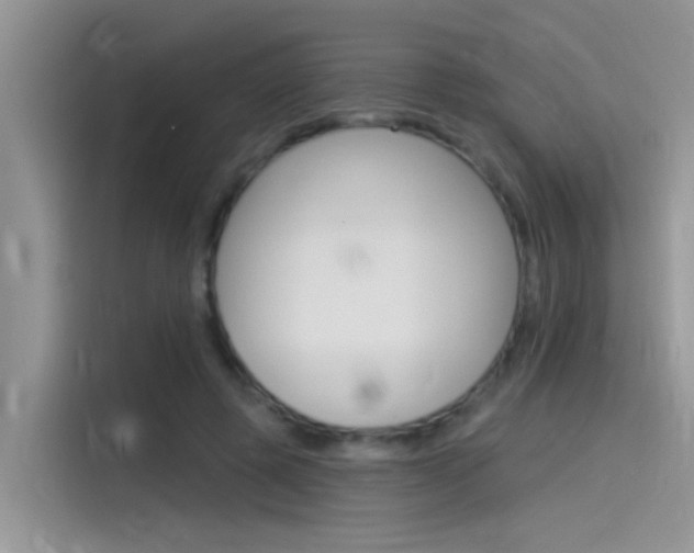 X0000115850545200911131128