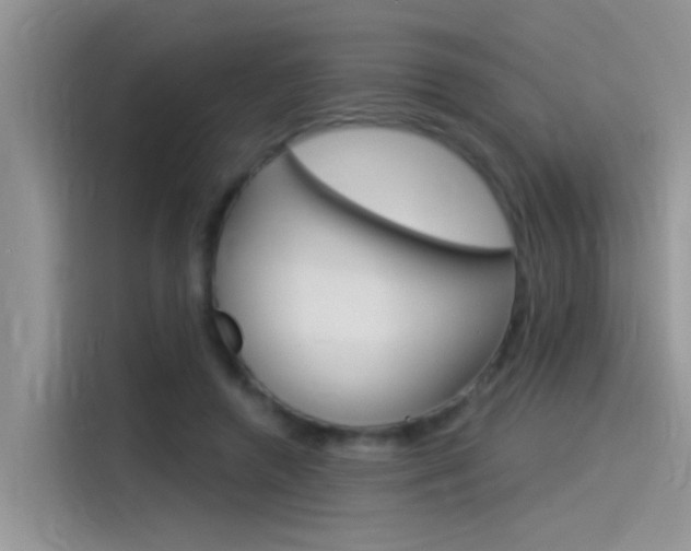 X0000115850546200911131128
