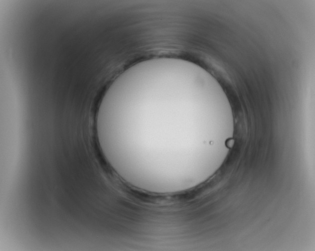 X0000115850550200911131128