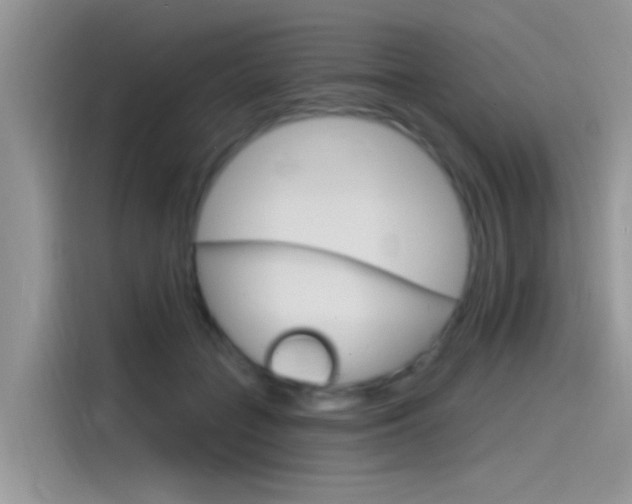 X0000115850555200911131129