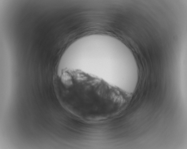 X0000115850559200911131129
